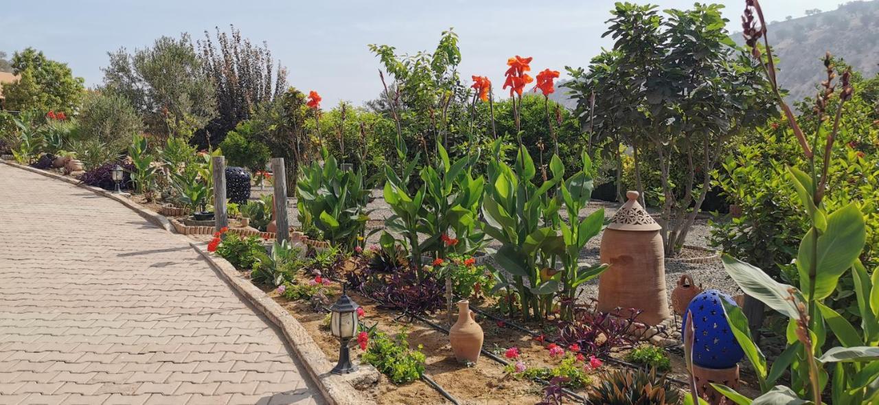 Asmaa Agadir رياد