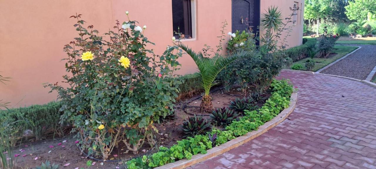 رياد Asmaa Agadir Azrarag