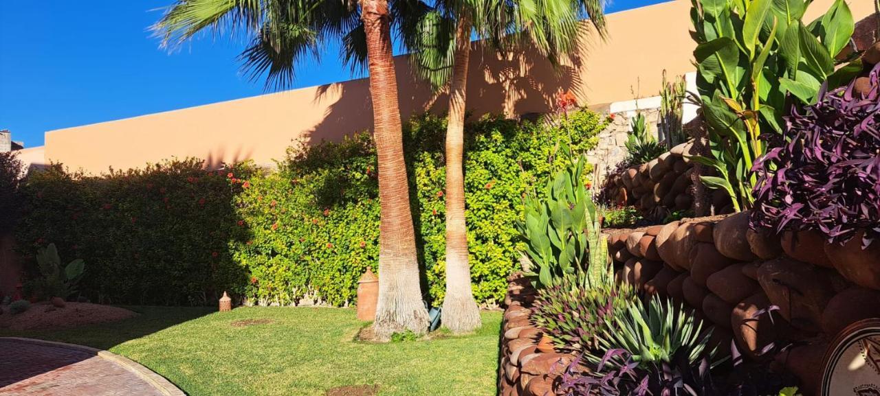 Asmaa Agadir Riad *