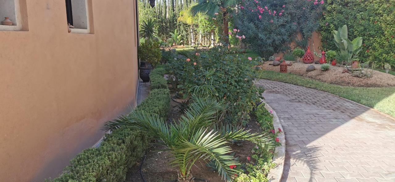 Asmaa Agadir Riad *