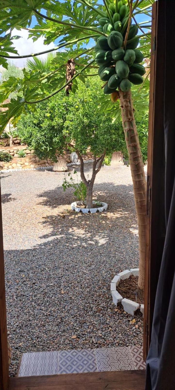 Asmaa Agadir Azrarag